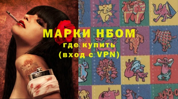 индика Алексин