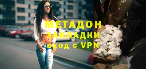 индика Алексин