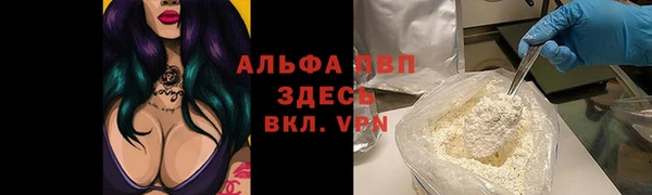 индика Алексин