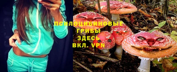 индика Алексин