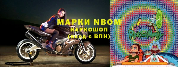 шишки Алзамай