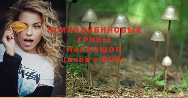 индика Алексин
