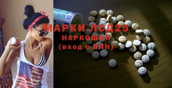 индика Алексин