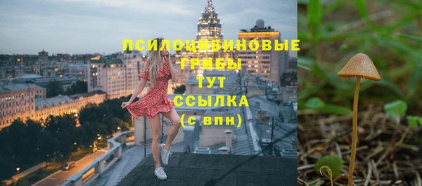 эйфоретик Алексеевка