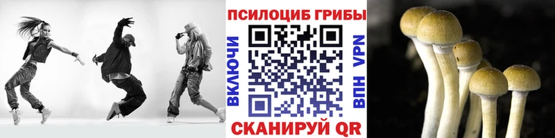 Галлюциногенные грибы Magic Shrooms  Адыгейск 